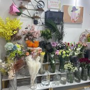  ������ﻨ������ת���豸��ȫ��ˮ�ǳ���������Ӫҵ 